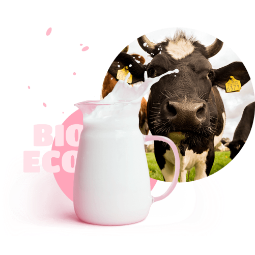 cowandmilk